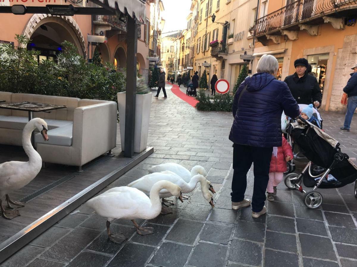 Horto Terapeutico Home Desenzano del Garda Exterior foto